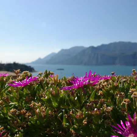 Wellness Casa Barca (adults Only) Hotel 4*