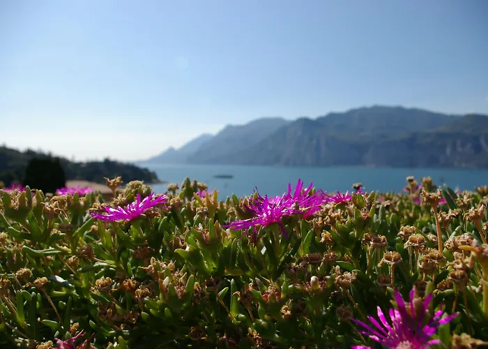 Wellness Casa Barca (adults Only) Hotel 4*